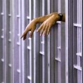 Окончан протест у новосадском затвору