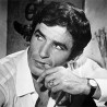 In memoriam Беким Фехмију - Широко је лишће