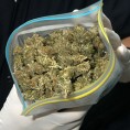 Ухапшен произвођач марихуане