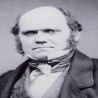 Еволуција и будућност