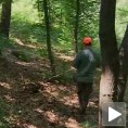 Мајиловац, и даље, трага за дечаком