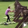 Катапулт као бумеранг