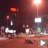 Судар на Новом Београду