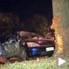 Возач ударио у дрво