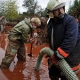 Помор рибе у Дунаву