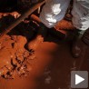 Комаром као Мексички залив