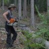 Суседи: Један поглед