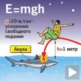 Срби направили патку од ајкуле