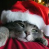 Европа из прве руке
