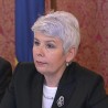 Метла Јадранке Косор 