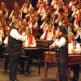 Цигански симфонијски оркестар - 100 виолина