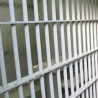 Пињатићу притвор до 30 дана
