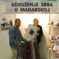 Избори мањина у Мађарској