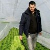 Како победити транзицију