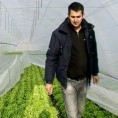 Како победити транзицију