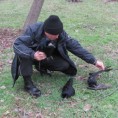 Птице угинуле од тровања алкохолом