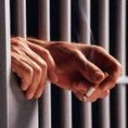 Туча затвореника у Идризову