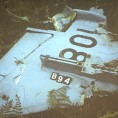 Судар узрок пада авиона