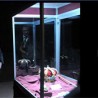 Ризница: Краљевске инсигније Србије