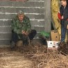 Протест калемара у Великој Дренови