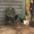 Протест калемара у Великој Дренови