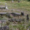 Читање историје са камених белега