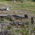 Читање историје са камених белега