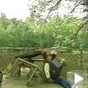 Ово се Мемедовићу не догађа