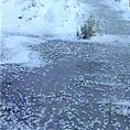 Вода у Банату одлаже сетву