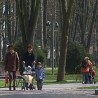 Чачани бране градски парк