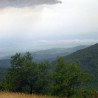 Траг у простору: Петровачке приче