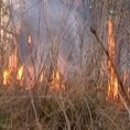 За месец дана 140 пожара