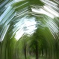 Арт зона: Љубомир Шимунић