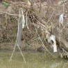 Ускоро велико чишћење Јужне Мораве