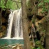 Енциклопедија за радознале