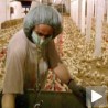 "Агрожив" гради нову кланицу