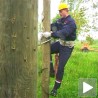 Најбржи електромонтер у Србији