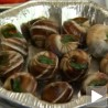 Сакупљачи уместо фармера