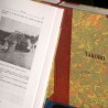 Корени српских породица