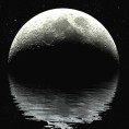 Ноћни програм - Харлекин