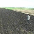 Недовољна расподела семена