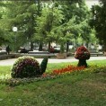 Процветало некако с пролећа 