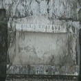 Енциклопедија за радознале