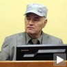 Младић није животно угрожен