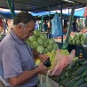 Пироћанци купују домаће поврће