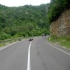 Несрећа у Долини јоргована