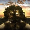 Музика за филм "Дрво живота"
