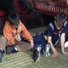 "Света Јелена" за децу без родитеља