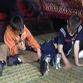"Света Јелена" за децу без родитеља