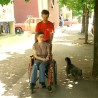 Вољом до успеха, не и до посла